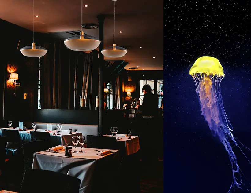 Jellyfish Inspired Lamp Design by Davide Esposti