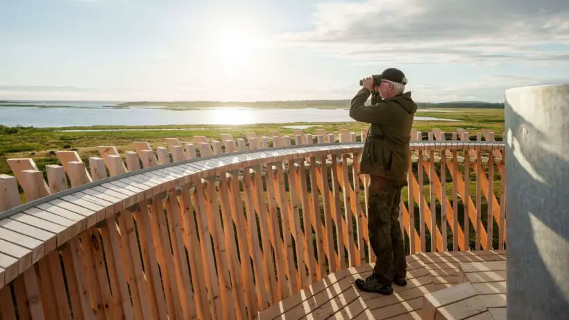 Kärven Observation Tower by White Arkitekter