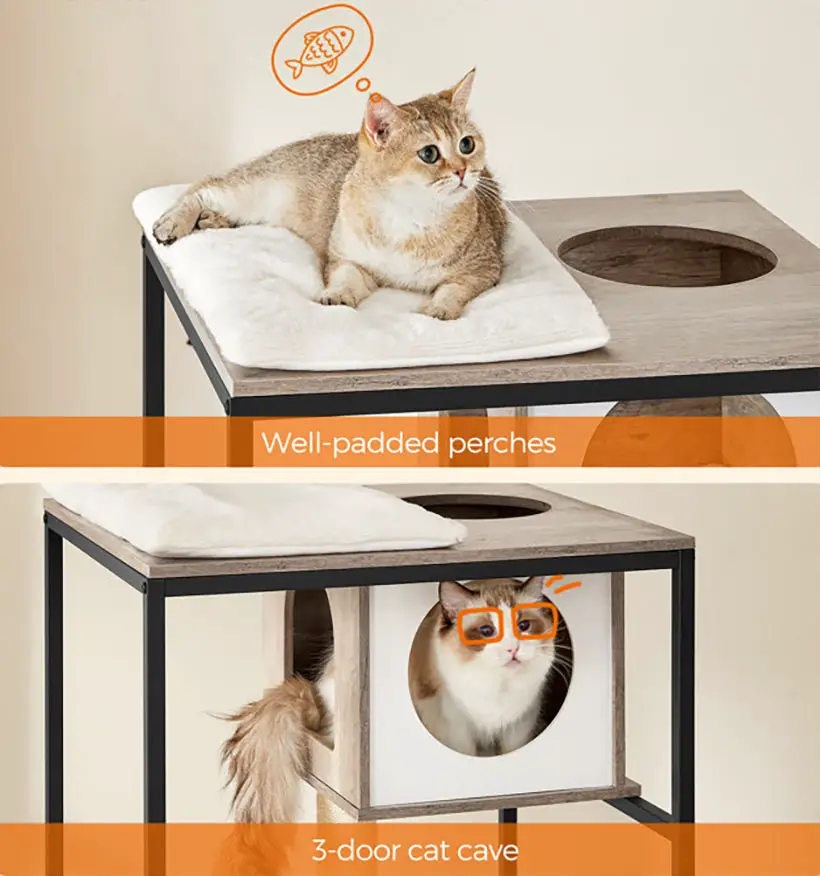 Archie & Oscar Kimmel 58-inch Cat Condo