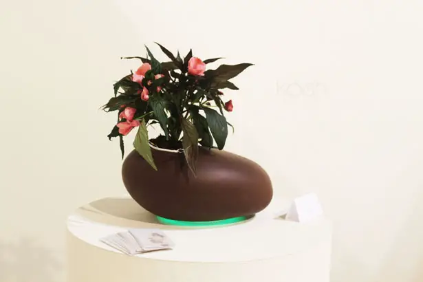 Koishi Planter Pot Concept by Noel Zahra