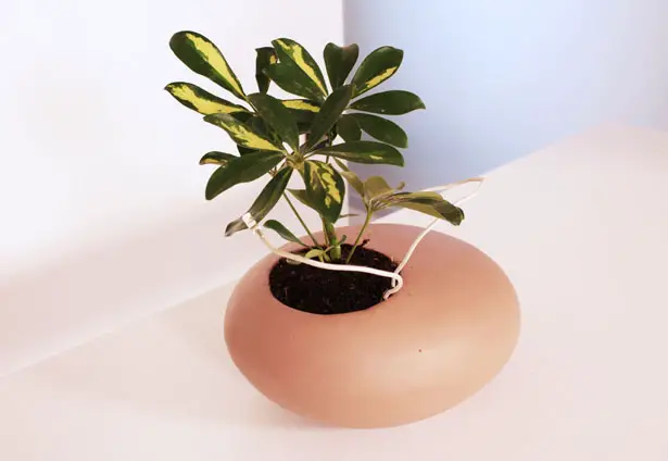 Koishi Planter Pot Concept by Noel Zahra