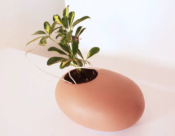 Koishi Planter Pot Concept by Noel Zahra