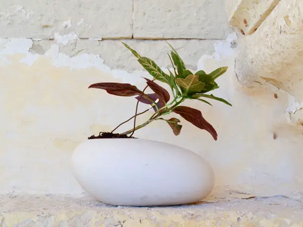 Koishi Planter Pot Concept by Noel Zahra