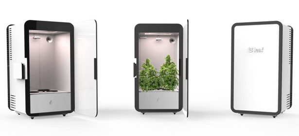 Leaf Plug and Play Cannabis Growing System
