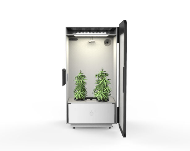 Leaf Plug and Play Cannabis Growing System