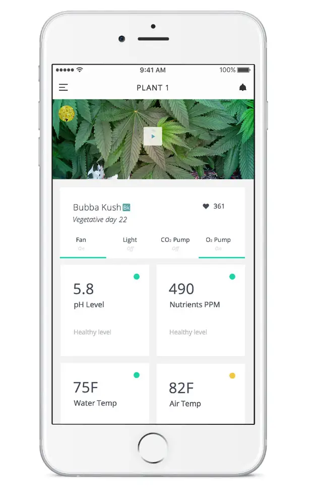 Leaf Plug and Play Cannabis Growing System