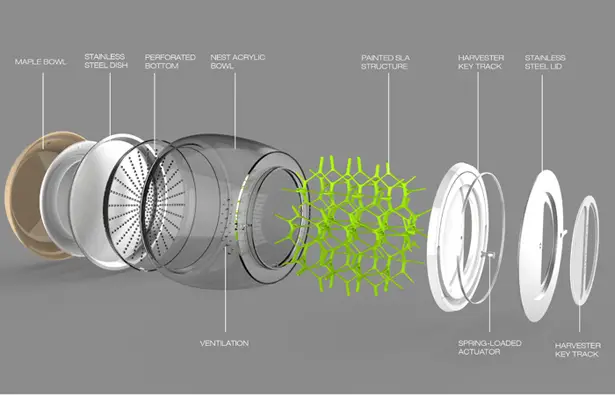 Lepsis Terrarium for Growing Edible Bugs by Mansour Ourasanah