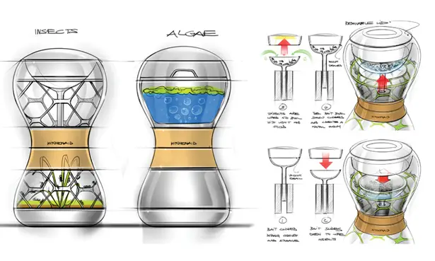 Lepsis Terrarium for Growing Edible Bugs by Mansour Ourasanah