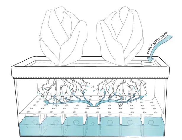 Let's Patch Self Watering Patch Planter for Herbs and Greens