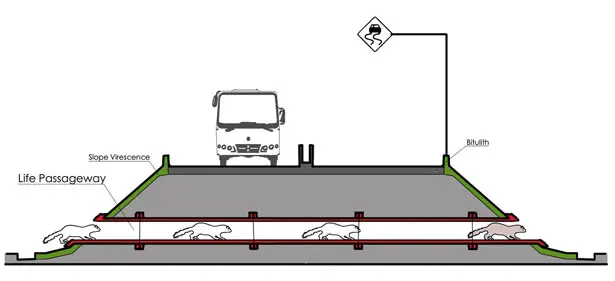 Life Passageway Protects Small Animals When Crossing Over an Expressway