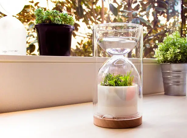 Liveglass Miniature Greenhouse Environment by Xindong (Jonathan) Che