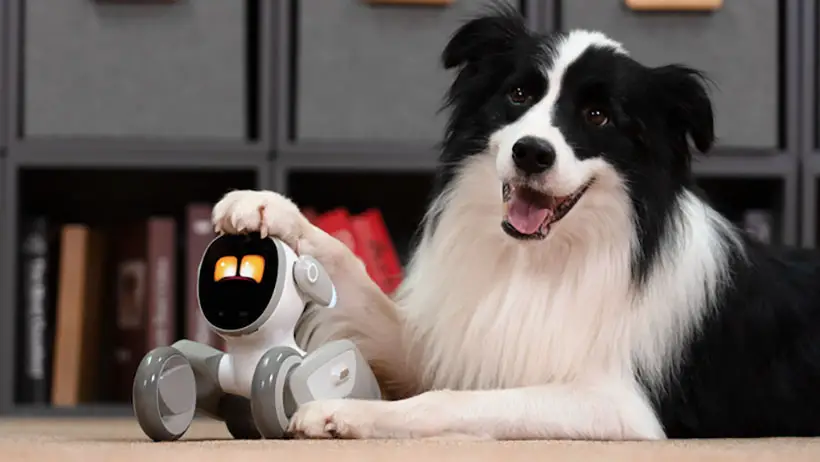 Loona Intelligent Petbot - Enjoy A Pet Companion Without The  Responsibilities - Tuvie Design