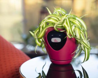 Lua Smart Planter Features Multiple Sensors to State Its Wellbeing