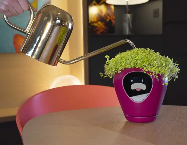 Lua Smart Planter by Vivien Muller Design