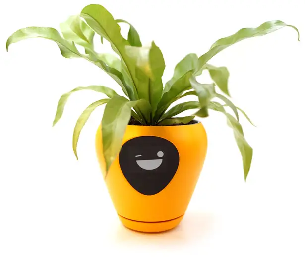 Lua Smart Planter by Vivien Muller Design