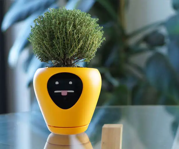 Lua Smart Planter by Vivien Muller Design