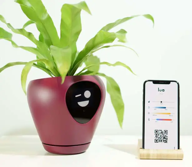 Lua Smart Planter by Vivien Muller Design