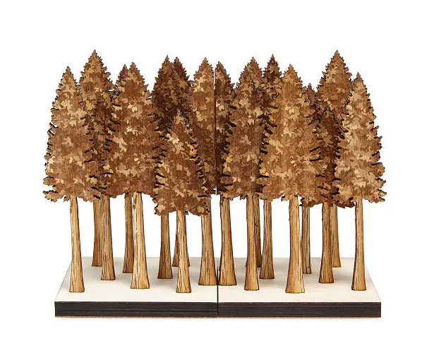 Cool Majestic Forest Bookends by Steven Truong