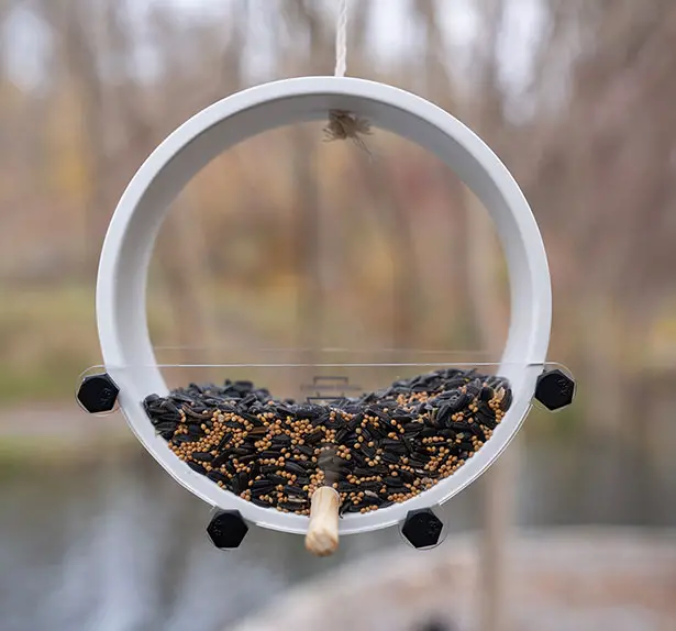 Maverick Bird Feeder by Julia Kononenko