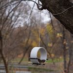 Maverick Bird Feeder by Julia Kononenko