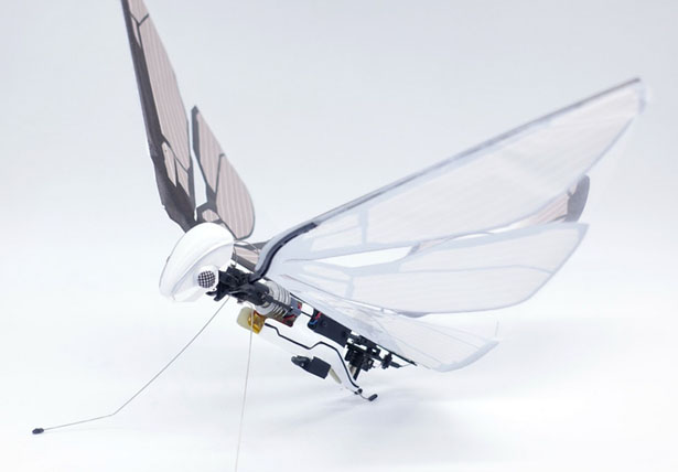 Metafly Biomimetic Controllable Creature Takes Flight The Way Animals in Nature Do