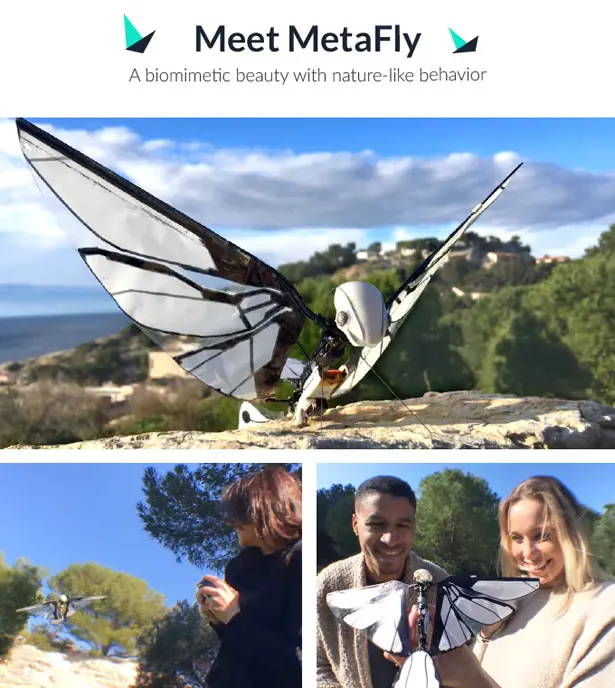 Metafly Biomimetic Controllable Creature Takes Flight The Way Animals in Nature Do