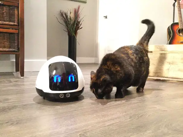 MIA: A Friendly Robot to Entertain Your Dogs and Cats