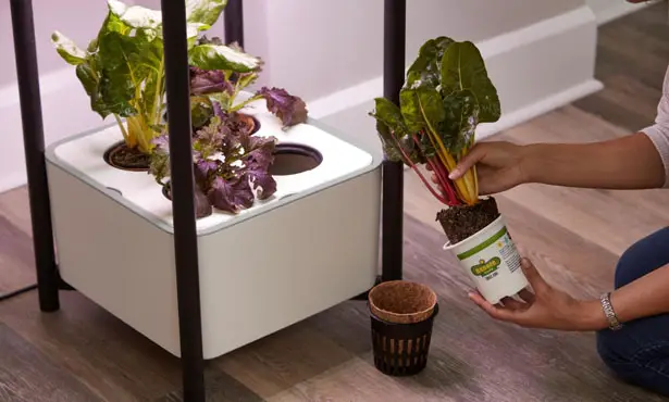 Miracle-Gro Twelve Indoor Growing System