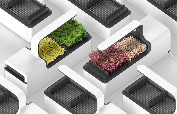 Mizzle - Smart Microgreen Grower by Gökhan Çetinkaya and Deniz İbanoğlu