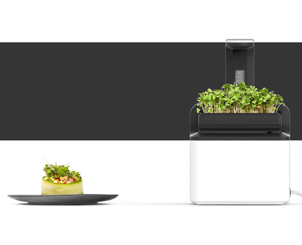 Mizzle - Smart Microgreen Grower by Gökhan Çetinkaya and Deniz İbanoğlu