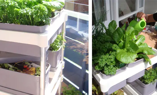 Mobile Food Garden Improves Urban Living Gardening Experience