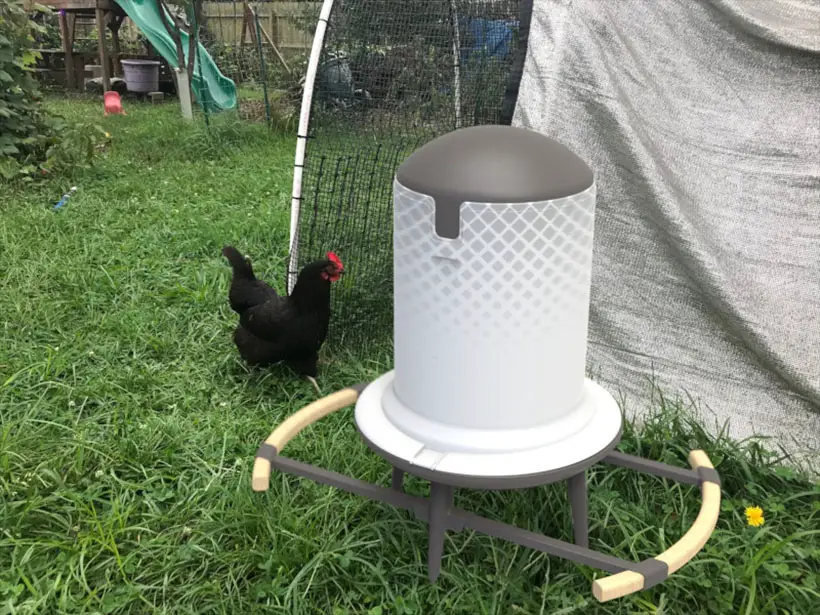 Modern Backyard Chicken Feeder by Brady Kimmel