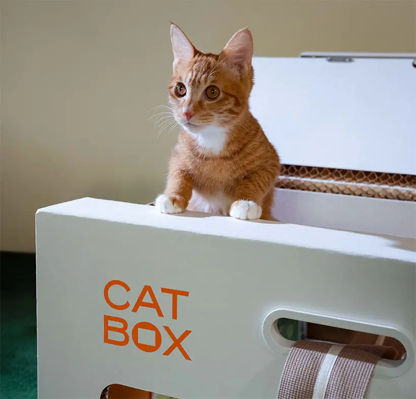 Modern Cardboard Cat Box by Maro S, ByungJun Lee, and HyeongJin Yoon