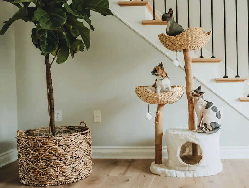 Modern Wooden Cat Tree Tower with Handwoven Rope Baskets