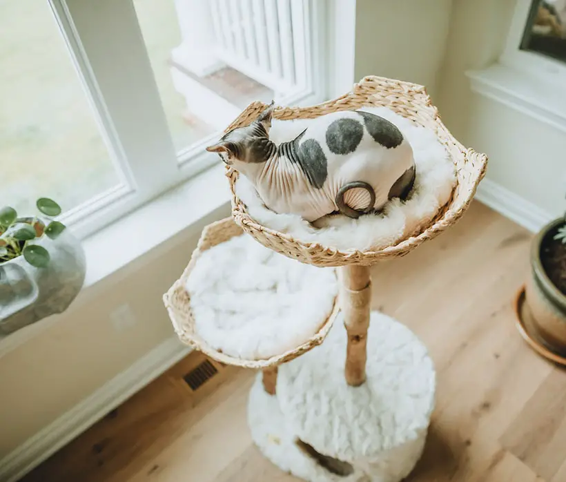 Modern Wooden Cat Tree Tower with Handwoven Rope Baskets