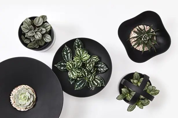 Moju Modular Planters for Interior by Andrea Ponti of Ponti Design Studio