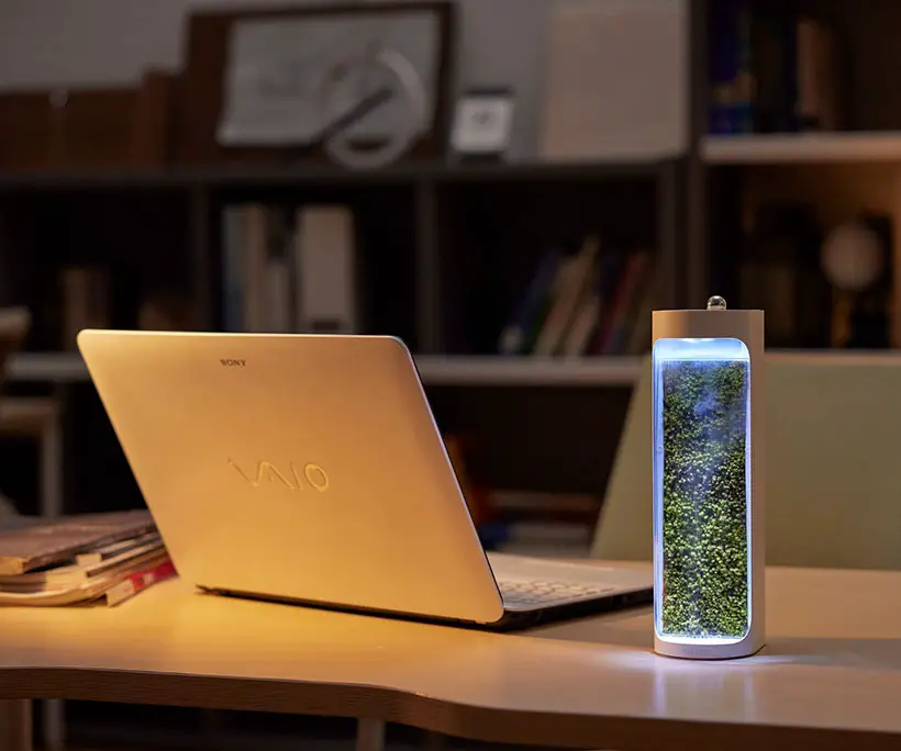 Moss Air Desktop-Sized Purifier/Humidifier by MossLab