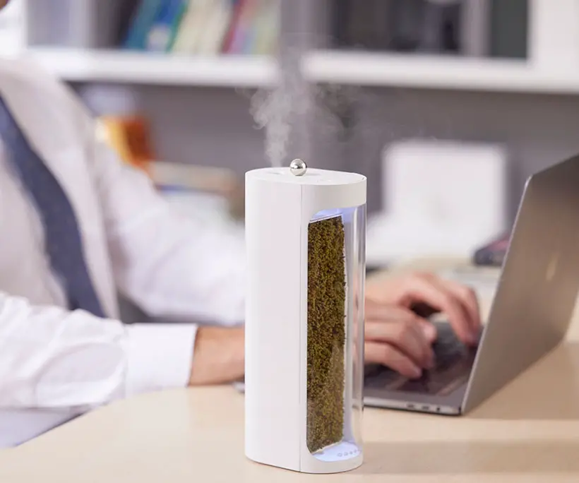 Moss Air Desktop-Sized Purifier/Humidifier by MossLab