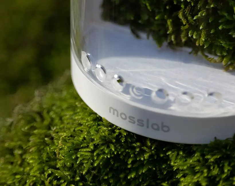 Moss Air Desktop-Sized Purifier/Humidifier by MossLab