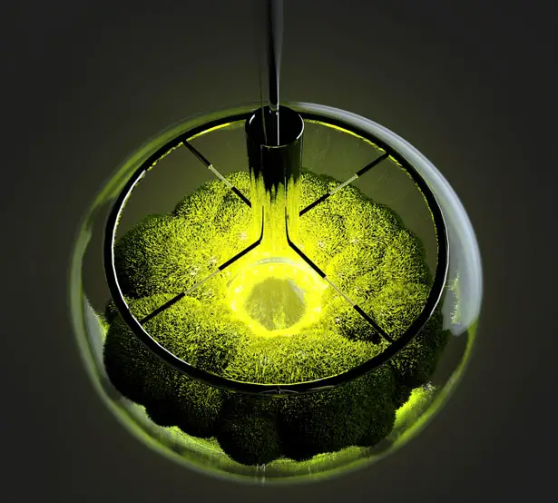 Mosslamp Multifunctional Lamp – Stunning and Beautiful Zen-Like Lighting