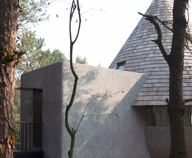 Mushroom Wooden House In The Middle of Pine Forest by ZJJZ Architects