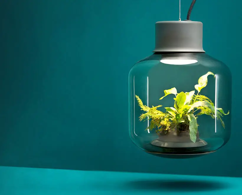 Mygdal Plantlight By Nui Studio