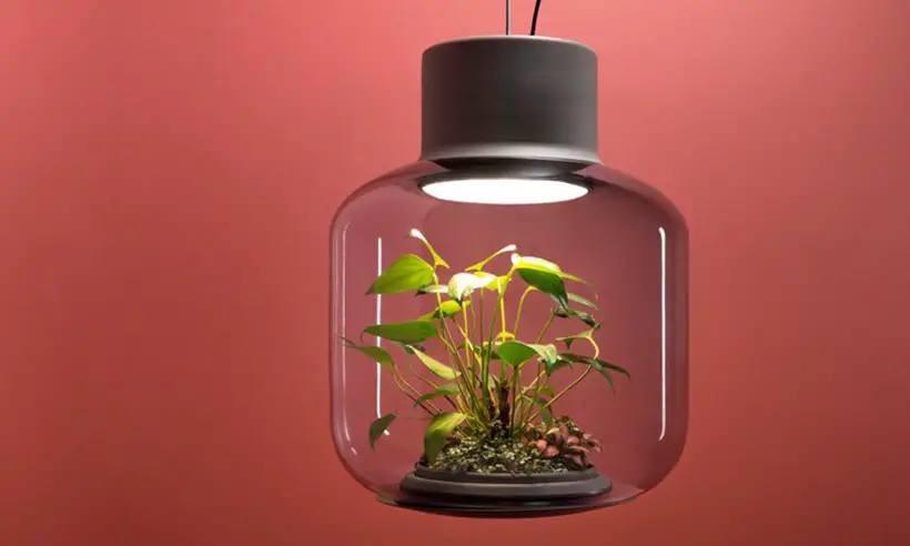 Mygdal Plantlight By Nui Studio