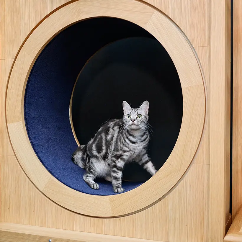 Neko Goten Cat Tower by Hitomi Otake