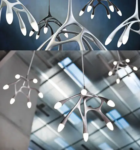 NLC Pendant Light