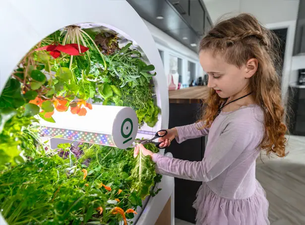 OGarden Smart Grow Indoor Garden