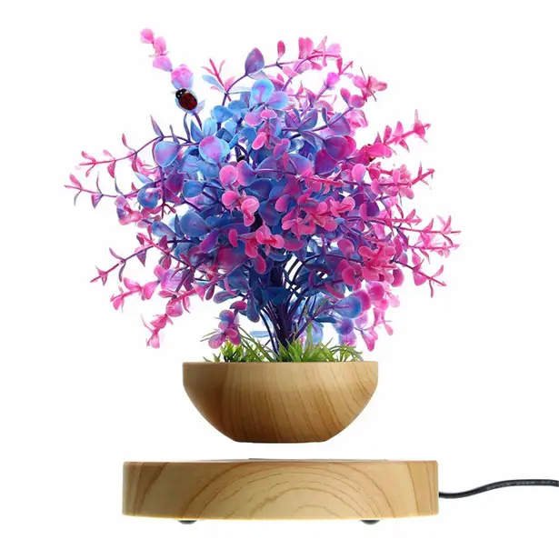 Pathonor LED Levitating Air Bonsai Pot Adds Magical Touch to Any Decor