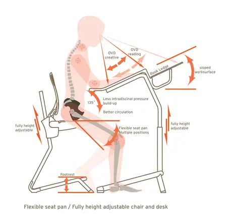 perch ergonomic school furniture