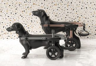 Petdali: Modern Dog Wheelchair for Outdoor Use