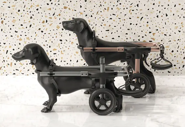 PetDali: Modern Dog Wheelchair for Outdoor Use by HS2 Studio